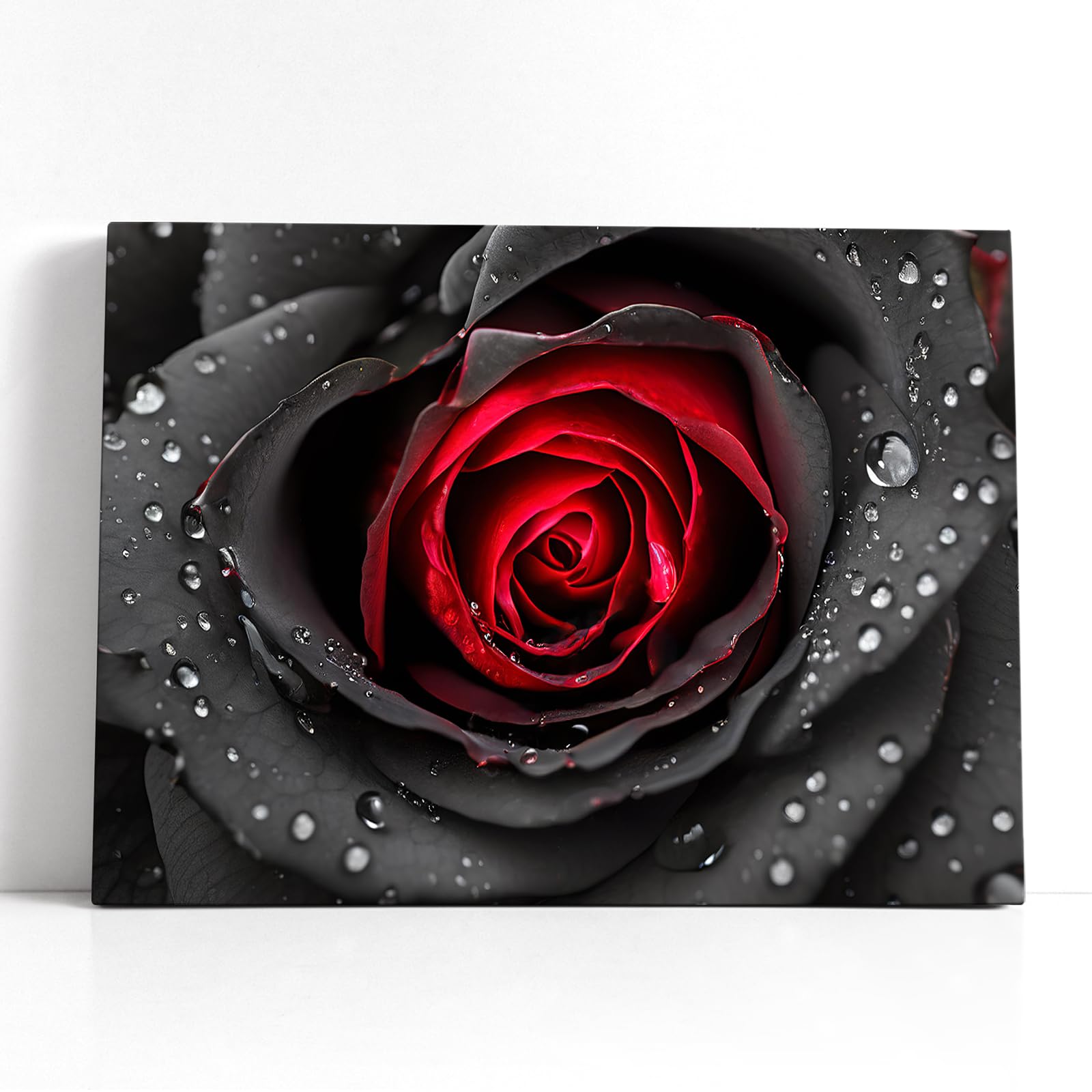 Amazon.co.jp: 黒と白の赤いバラのウォールアート バラの花の絵 壁の